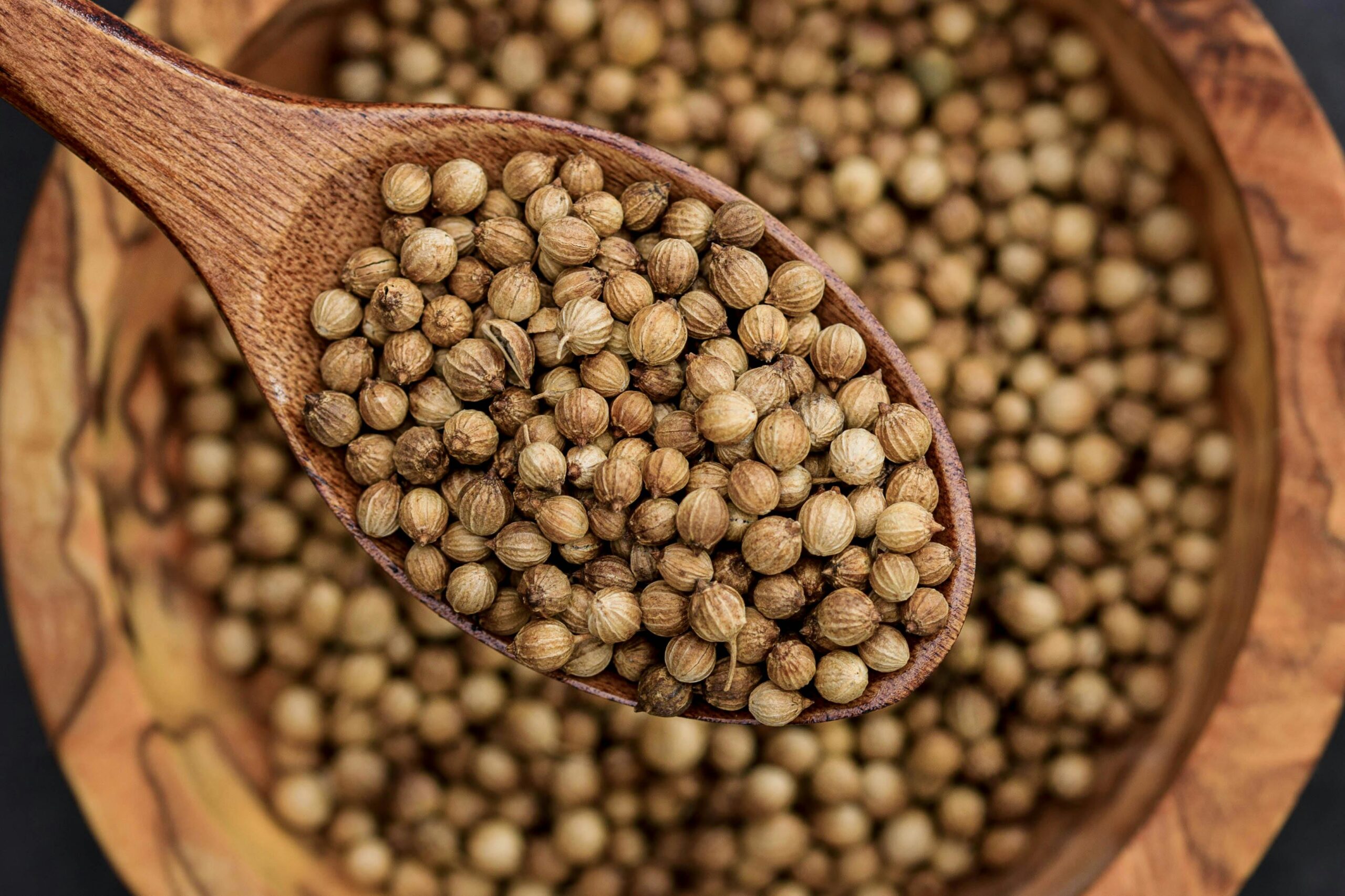 Coriander