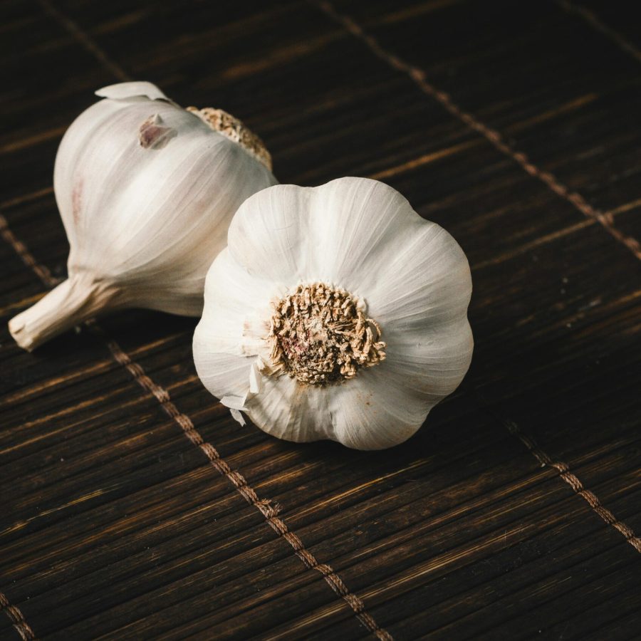 Garlic