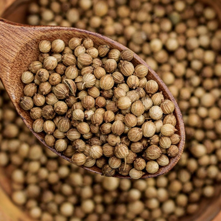 Coriander